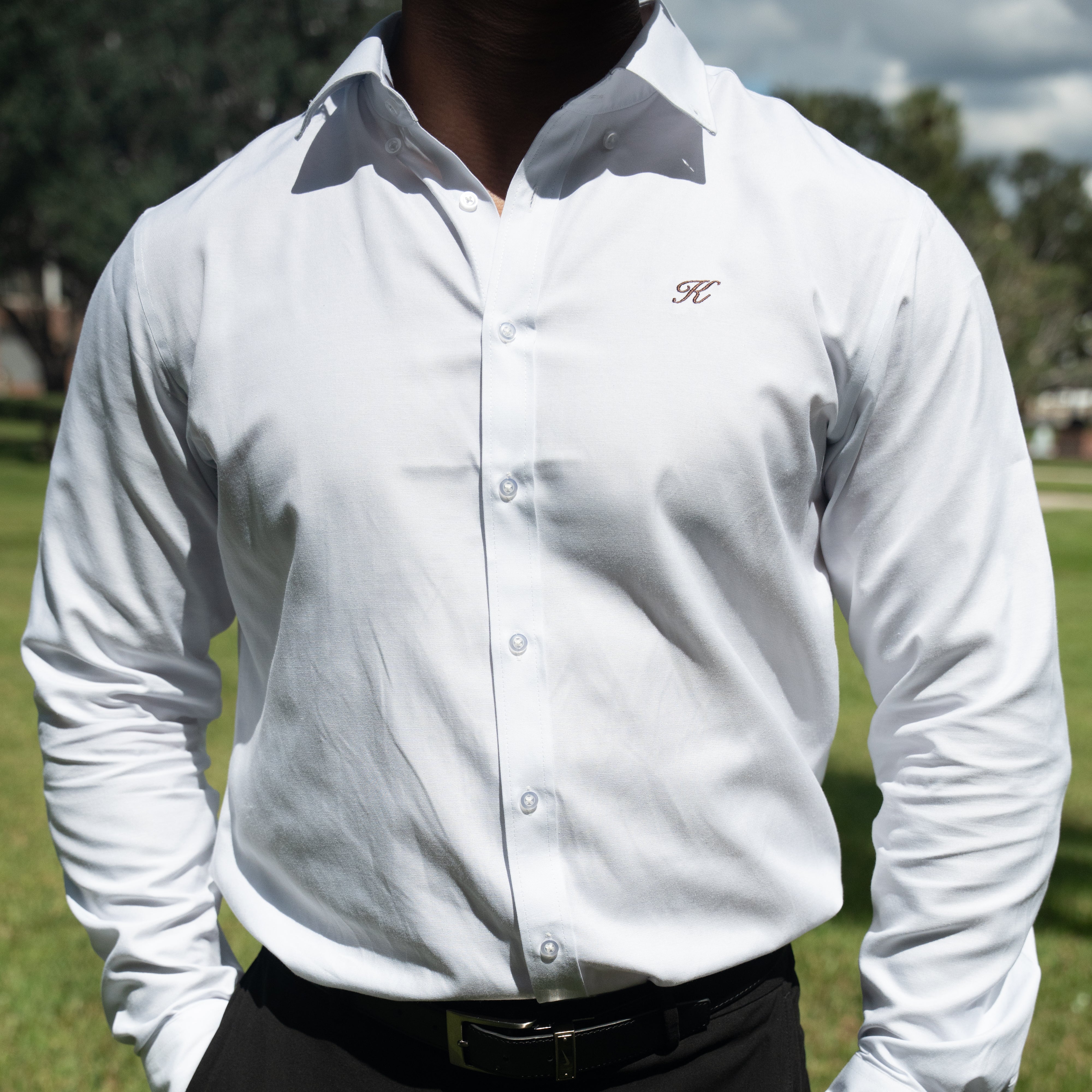Masterful Slim Button Down